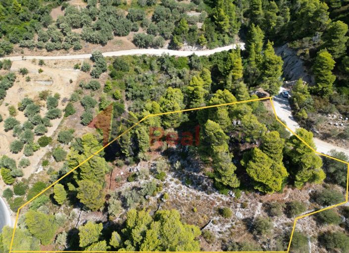 Image No.5-Property for sale