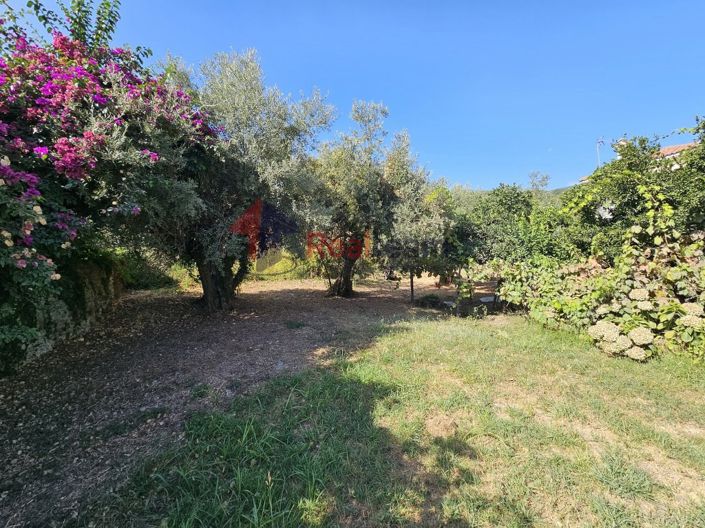 Image No.16-Property for sale