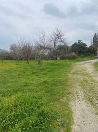 3a65fdc1db724001ac25cddaec02060d