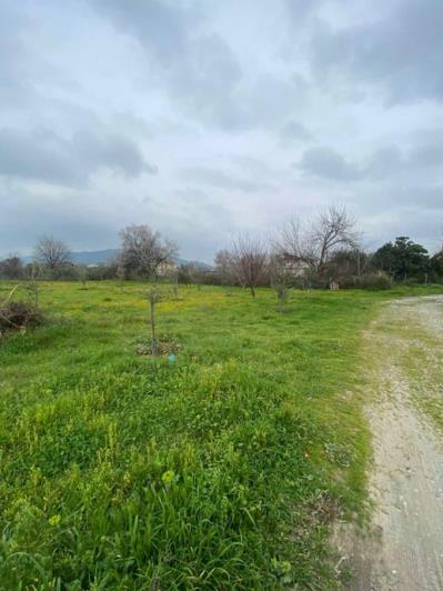 Image No.12-Property for sale