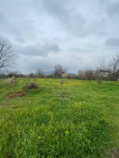 Image No.13-Property for sale