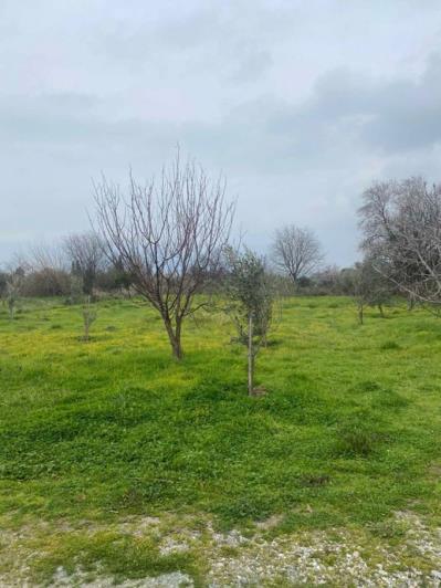 Image No.15-Property for sale