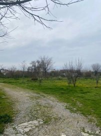 036c5f842b22453da7309b27281bb244