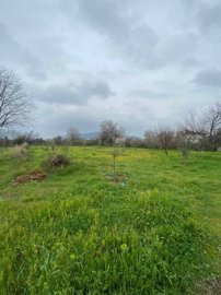 7287c4de5f68410c9f494ea249e831c9