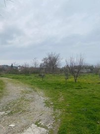 fe71f0ed433943f8bcc6fddb459c030e