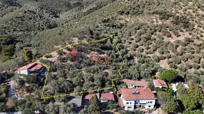 6d3942ceb12d43f6ac6be1b92db6b606