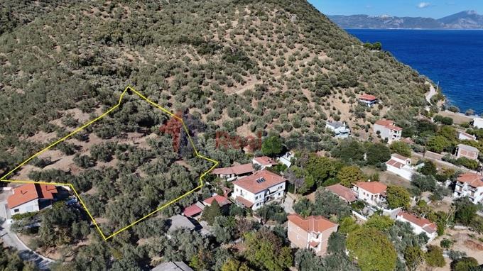 Image No.23-Property for sale