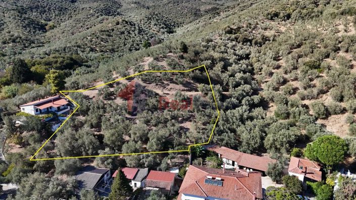 Image No.3-Property for sale