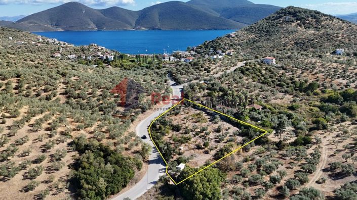 Image No.1-Property for sale