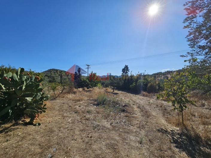 Image No.35-Property for sale