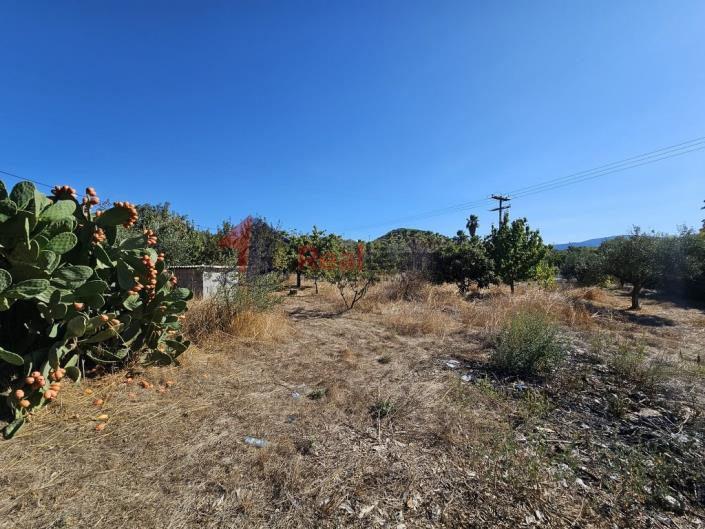 Image No.43-Property for sale