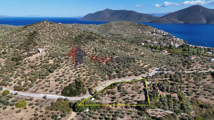 Image No.39-Property for sale