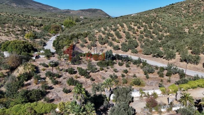 Image No.36-Property for sale