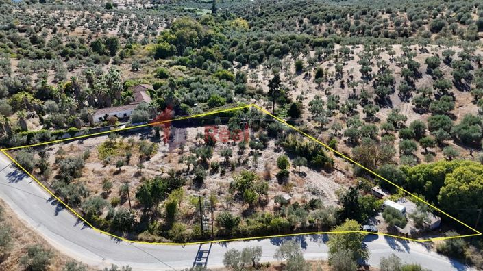 Image No.12-Property for sale