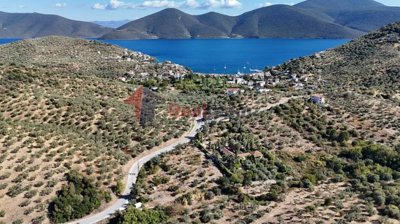 925ea4eea08f45fdaac5bac5eb9930ce