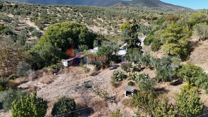 Image No.19-Property for sale