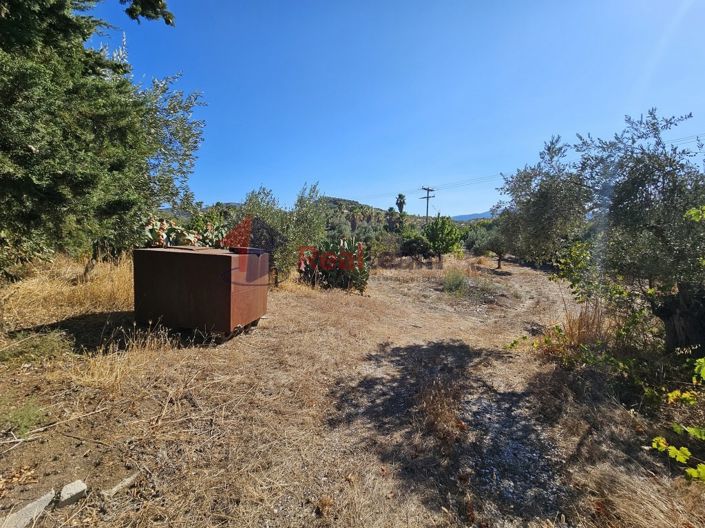 Image No.21-Property for sale