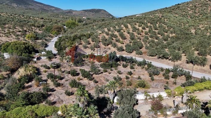 Image No.23-Property for sale