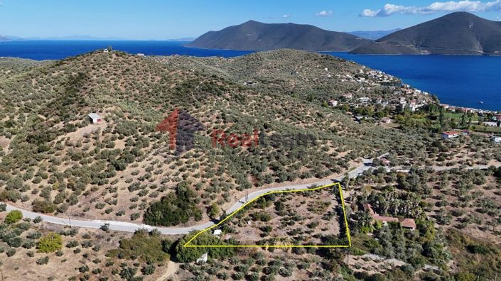 Image No.4-Property for sale