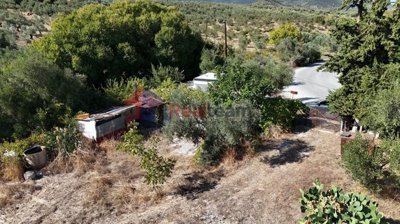 526722b55a07471aac52ec882f15a64c