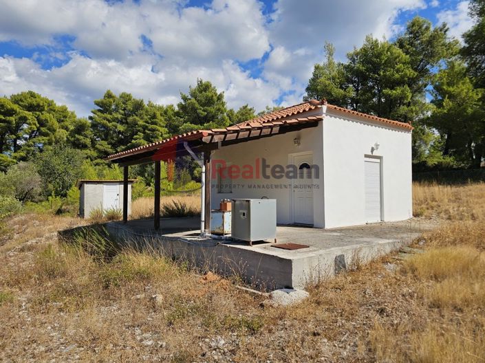 Image No.10-1 Bed Property for sale