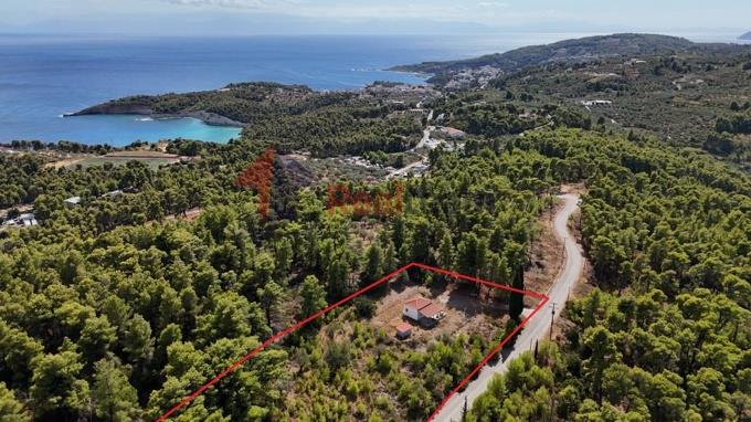 Image No.41-1 Bed Property for sale