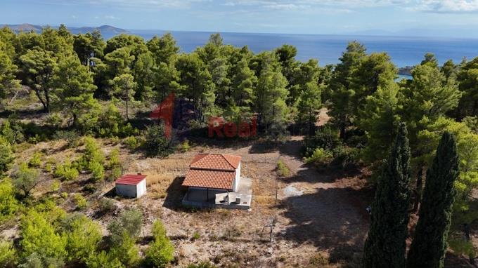 Image No.34-1 Bed Property for sale