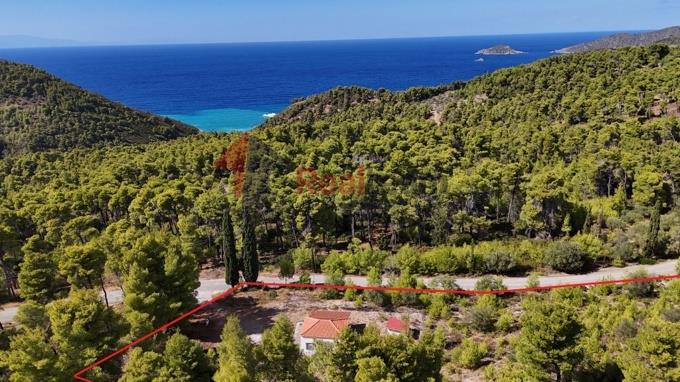 Image No.42-1 Bed Property for sale