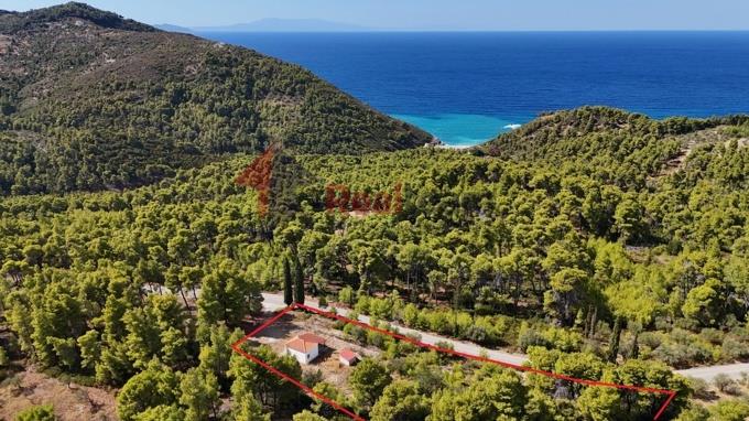 Image No.48-1 Bed Property for sale