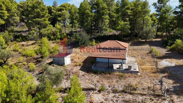 Image No.19-1 Bed Property for sale