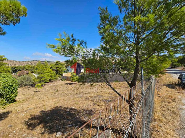 Image No.3-Property for sale