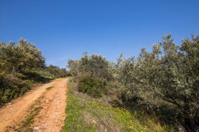 img8f083257-fae5-4d5b-b89f-9b97d295b10b