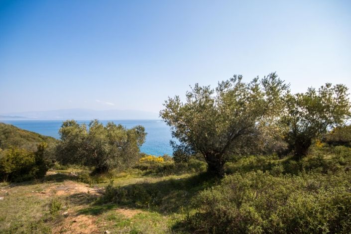 Image No.12-Property for sale