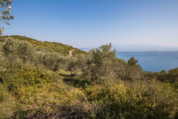 Image No.14-Property for sale