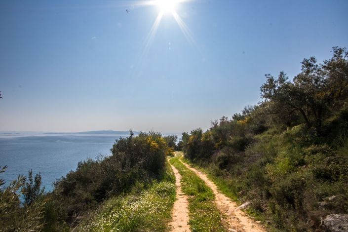 Image No.18-Property for sale