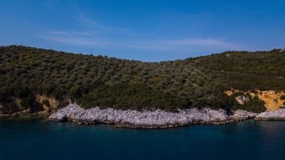 img16a07217-eb53-421b-99d0-6af5813d8891