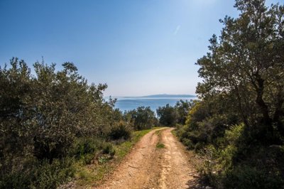 img338a6e88-24f7-4a46-96af-159ccf345b1c