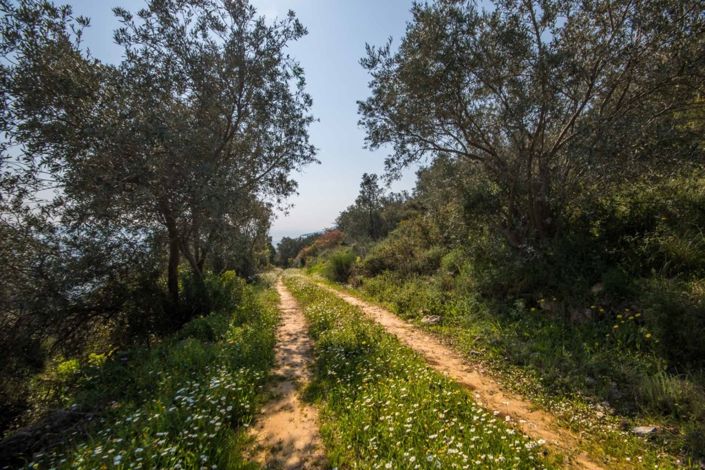 Image No.8-Property for sale