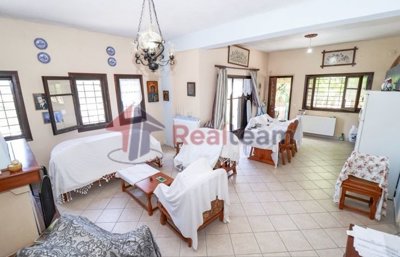 imgc1cd72a0-d67d-474c-9d27-f076e2f9449e