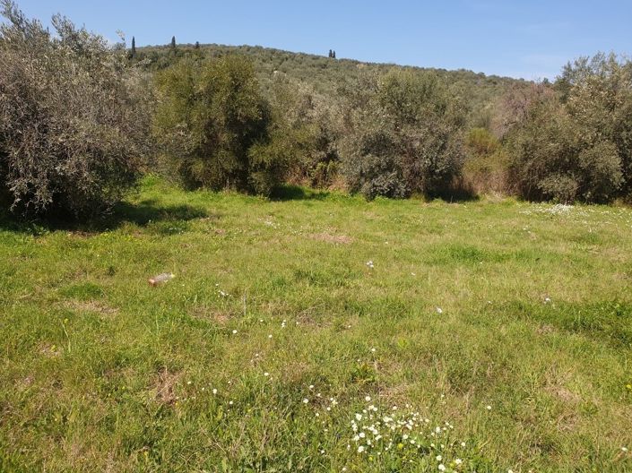 Image No.5-Property for sale