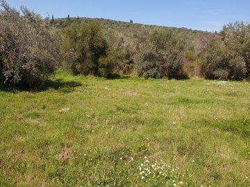 img1e85026b-0d21-4871-af2e-08e58194799e