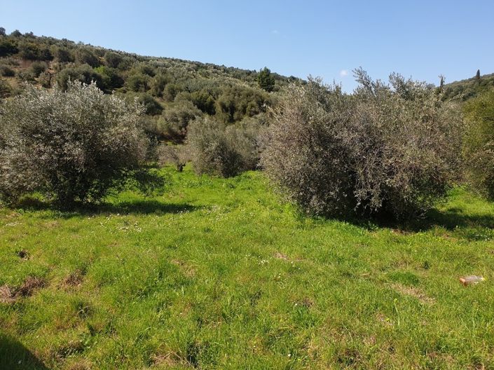 Image No.6-Property for sale