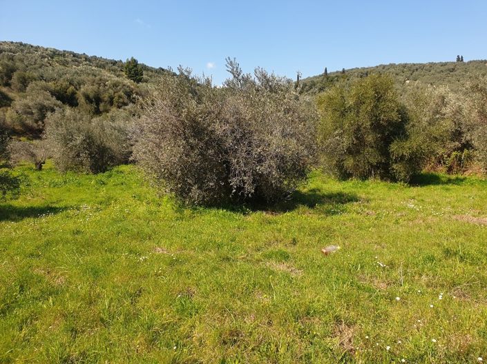 Image No.7-Property for sale