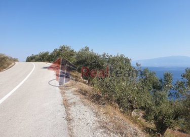 imgbc0604ff-aa25-42c8-93b6-169d14e790cc