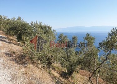 img99fe0411-da59-4a4a-a513-96c8b9d67c5f