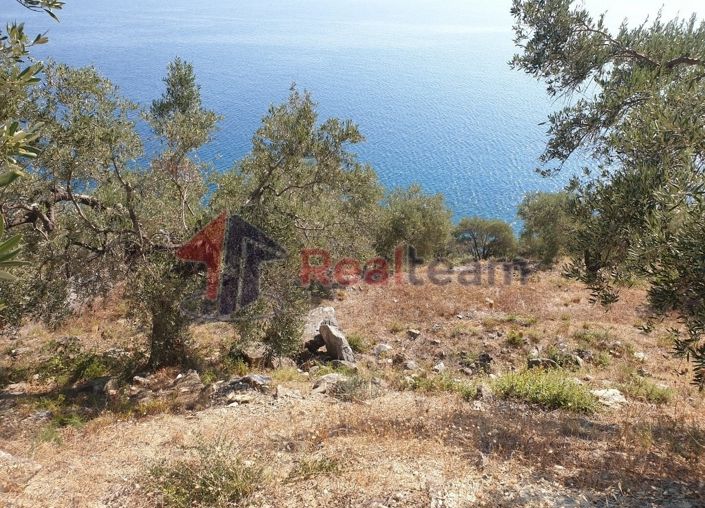 Image No.14-Property for sale