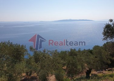 imgb2d9873a-0b4a-4669-8888-fb133adfd041