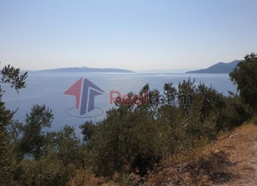 img418cc05e-8818-42ef-92b3-56dc06cf59bf