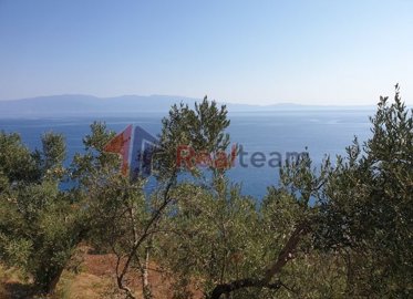 img5984e487-9116-445e-a099-9a4e62523b22