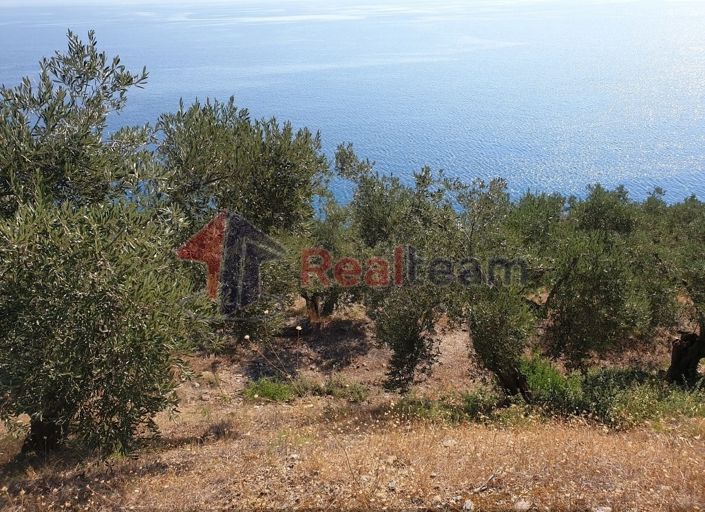 Image No.8-Property for sale